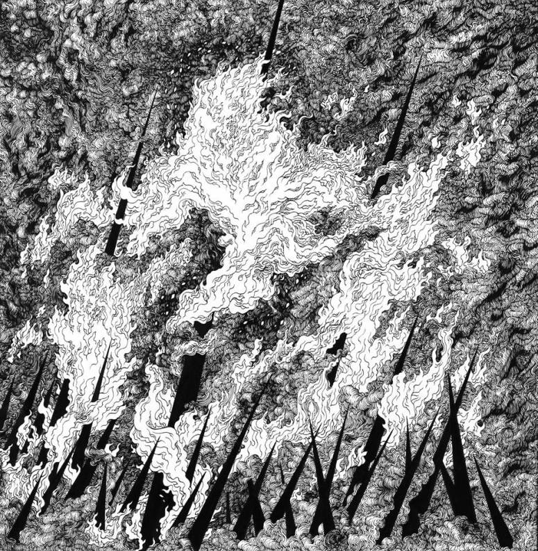 22552649_772425352944826_5531954621878187162_n